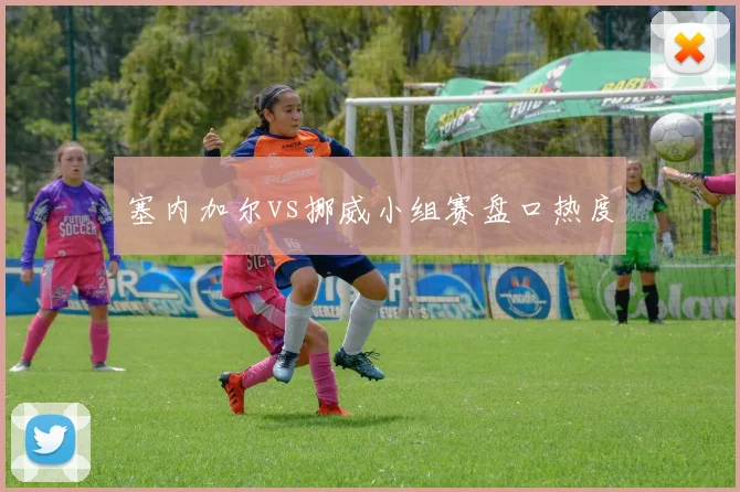 塞内加尔vs挪威小组赛盘口热度