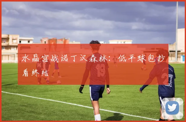 水晶宫战诺丁汉森林：低平球包抄看终结