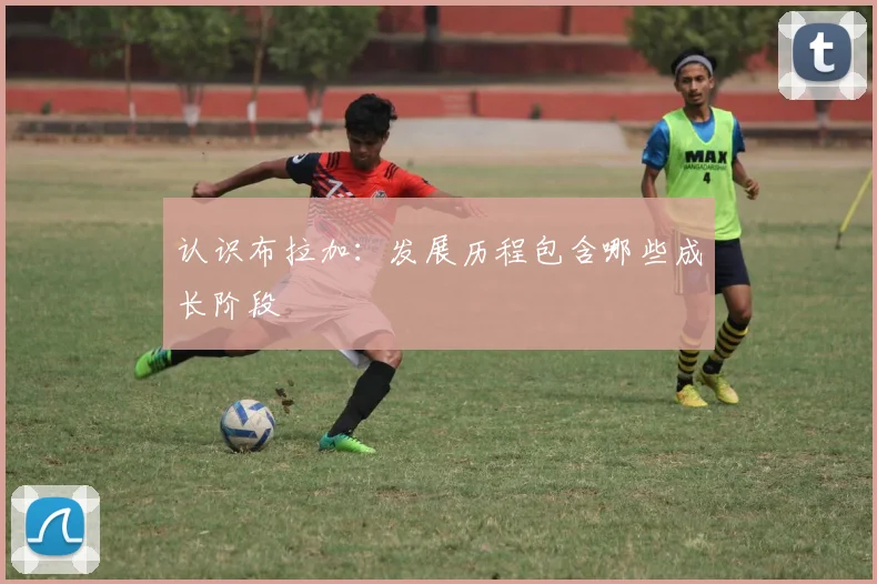认识布拉加：发展历程包含哪些成长阶段