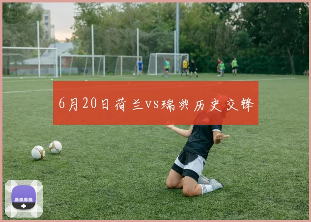6月20日荷兰vs瑞典历史交锋