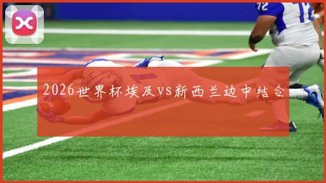 2026世界杯埃及vs新西兰边中结合